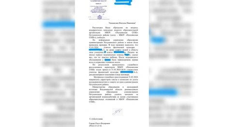В Петушинском районе учитель физкультуры избил девочку с освобождением от урока
