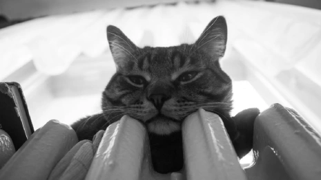 Мэрия высказалась о включении отопления во Владимире