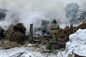На пожаре под Гусь-Хрустальным пострадал один человек
