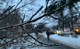 Прогноз погоды во Владимирской области на 18 января 2026 года