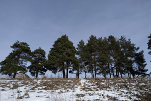 Во Владимирской области последняя рабочая неделя осени закончится «нулевой» температурой