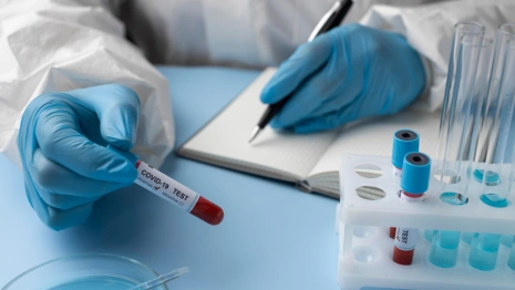 Во Владимирской области выявили 1006 случаев ковида