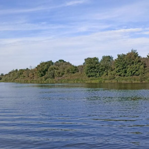 Во Владимирской области насчитали 898 запрещенных для купания мест