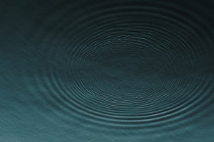 Во Владимирской области из реки достали тело 72-летней жительницы Ногинска