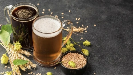 Во Владимирской области депутаты поддержали закон о запрете «пивнушек» в домах