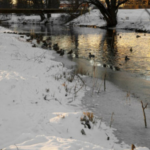 Прогноз погоды на 19 марта 2024 года во Владимире и области