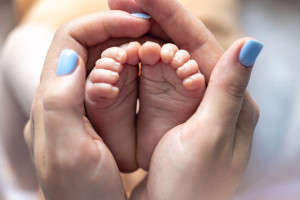 Во Владимирской области в феврале появилась на свет тройня