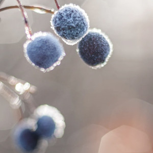 Прогноз погоды во Владимирской области на 15 ноября