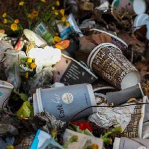 Жители Владимирской области стали меньше жаловаться на плохую уборку мусора 