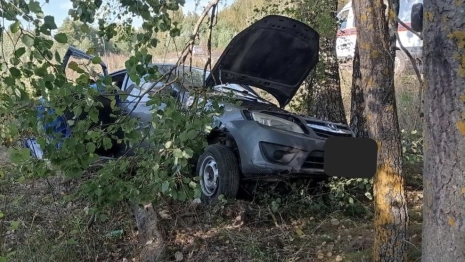 В Ковровском районе водитель погиб после столкновения с деревом