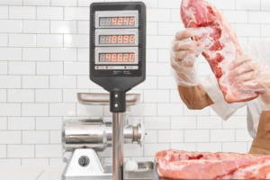 В Александрове отменили карантин по африканской чуме свиней