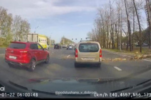 Во Владимире ураган повалил дерево на дорогу