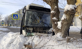 В Муроме автобус влетел в дерево: пострадали 7 человек