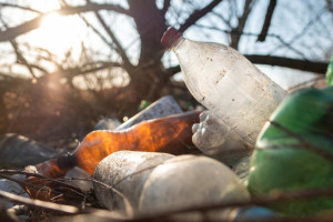 Жители Владимирской области устроили свалку около сельского кладбища