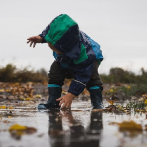 Во Владимирской области синоптики дали прогноз на рабочую неделю 