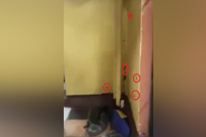 В школе Владимира сняли на видео нашествие тараканов
