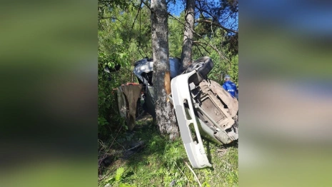 Во Владимирской области легковушку намотало на дерево