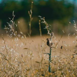 Во Владимирскую область вернулась аномально жаркая погода