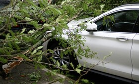 Под Киржачом иномарка влетела в дерево: водитель и пассажир погибли