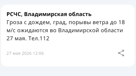 МЧС предупредило владимирцев о надвигающемся урагане с градом
