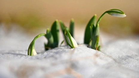 Прогноз погоды на 20 марта 2024 года во Владимире и области