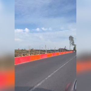 Катастрофические масштабы вырубки леса при расширении трассы на Суздаль показали на видео