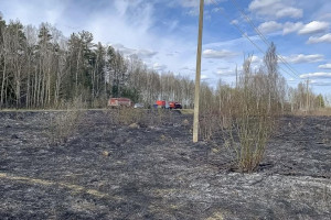 В Камешковском районе пожар уничтожил 400 квадратов сухой травы