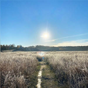 Первые заморозки ударили по Владимирской области