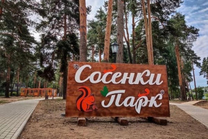 Дело о попытке подорвать чиновников гранатой в парке дошло до суда в Александрове 