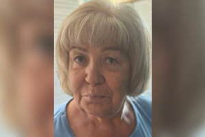 Владимирские волонтеры попросили помощи в поисках 78-летней бабушки