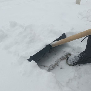 В Суздале пройдет новогодний субботник