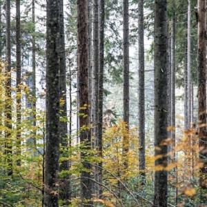 День Веры, Любви и Надежды: что можно и нельзя делать 30 сентября