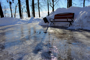 Прогноз погоды во Владимирской области на 21 декабря 2024 года