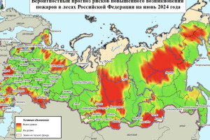 Владимирскую область включили в зеленую зону на карте лесных пожаров