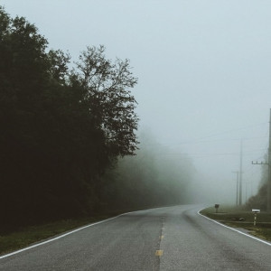 Густой туман накрыл трассы во Владимирской области