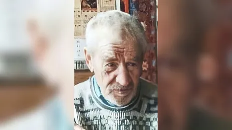 Во Владимирской области в начале октября в лесу пропал 83-летний дедушка