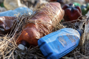 Во Владимирской области в очередной раз оштрафовали регоператора за невывоз мусора