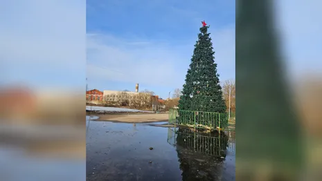 В Струнино новогоднюю елку на площади у ДК оставили до апреля
