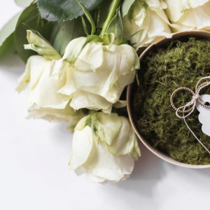 В ноябре-2024 во Владимирской области поженились 496 пар