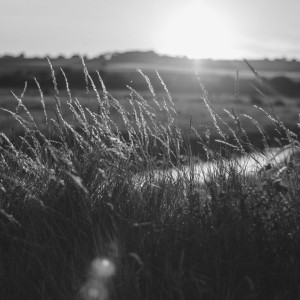 Тело пропавшего во Владимирской области 25-летнего парня нашли в зарослях