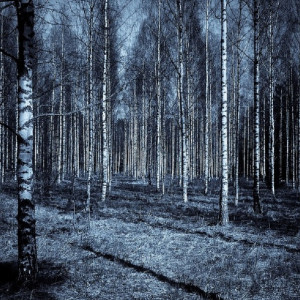 Во Владимирской области пропавшую без вести 63-летнюю женщину нашли мертвой