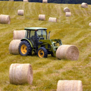 В Александрове нажившаяся на трактористах директор автошколы пойдет под суд