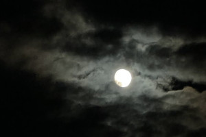 Угроза атаки БПЛА нависла над Владимирской областью в ночь на 14 декабря