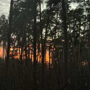 Опасность атаки БПЛА объявили во Владимирской области