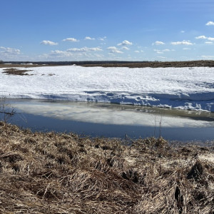 В мартовские выходные во Владимирскую область придет резкое похолодание