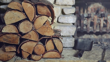 Участвующие в СВО владимирцы получили льготы на покупку дров и леса 