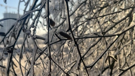 Прогноз погоды во Владимирской области на 5 января 2026 года