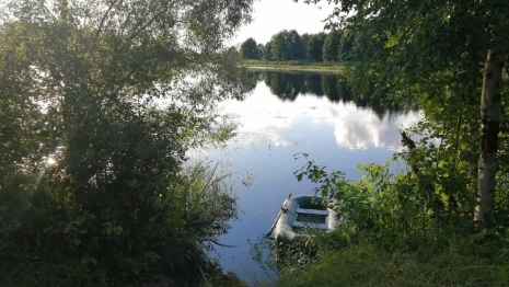 Во Владимирской области утонула 60-летняя женщина