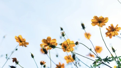 Во Владимирской области потеплеет до +10 градусов