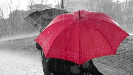 Тропический ливень накроет Владимирскую область